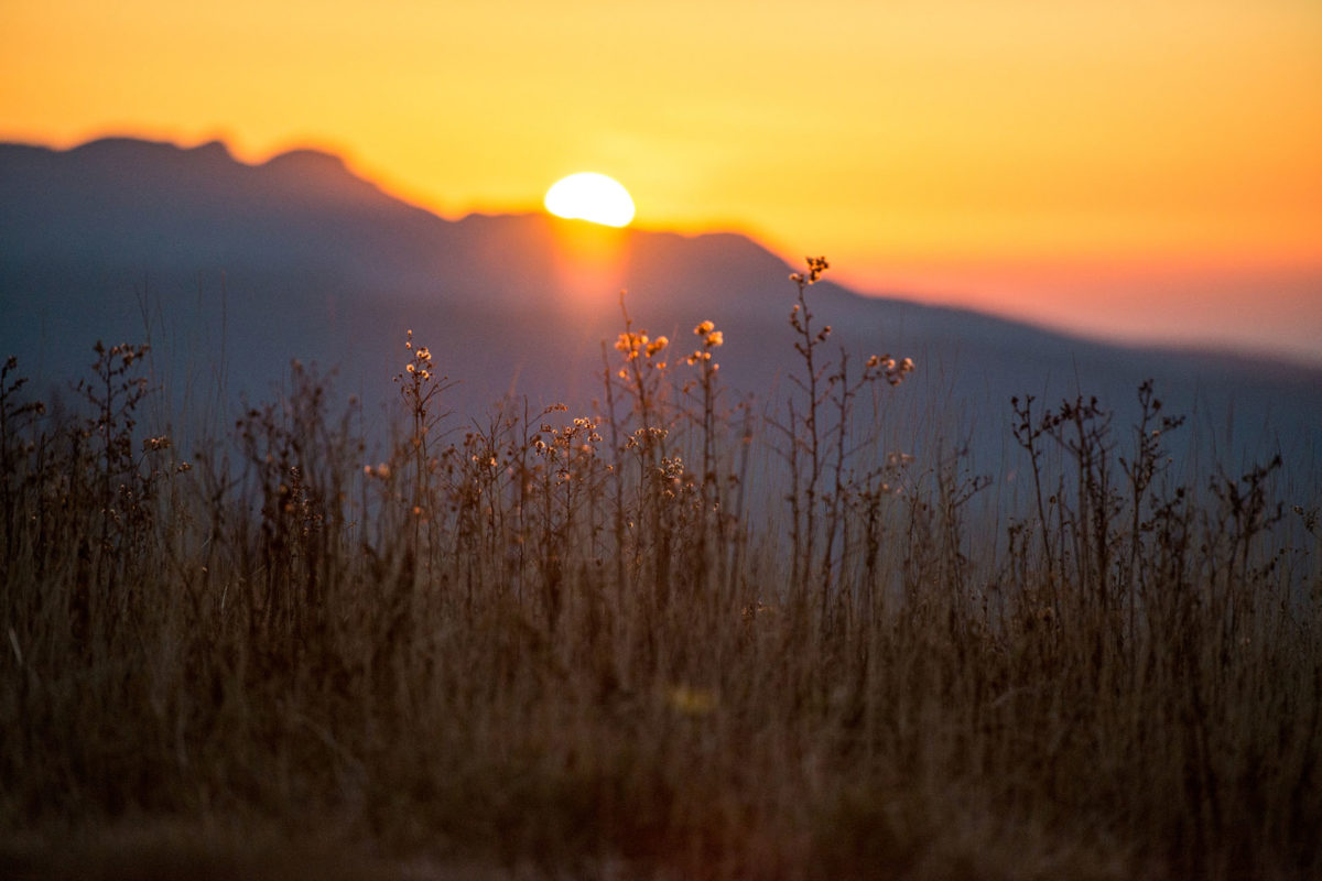 roan-highlands_by-horizonline-pictures roan-highlands_by-horizonline-pictures