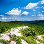 Warwick-1-John-DeSanto