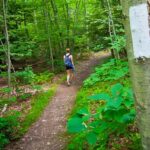 A day-hiker makes her way along the AT north of Route 17A.
