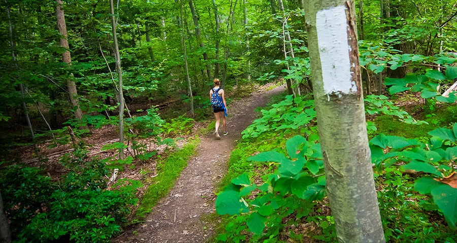 Appalachian trail 2025 short hikes