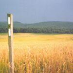 The Appalachian Trail travels through the farmlands surrounding Boiling Springs. Photo by Kerri MacDonald.
