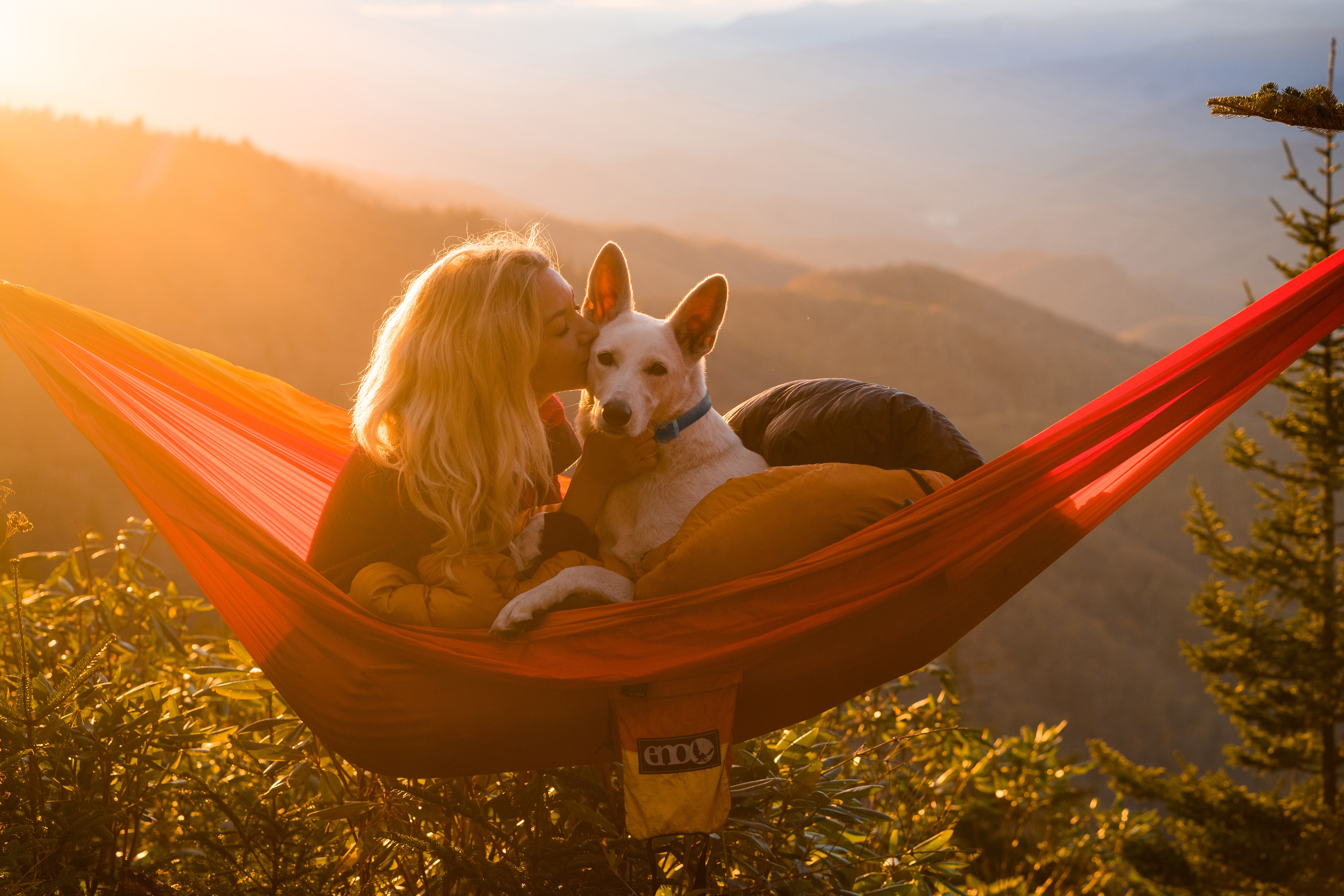 A dog and its owner relax in a hammock near the Appalachian Trail. Photo by Steven Yocom.