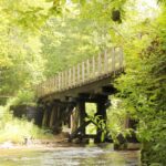 Virginia Creeper Trail