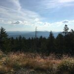 Kingfield - Bigelows 1