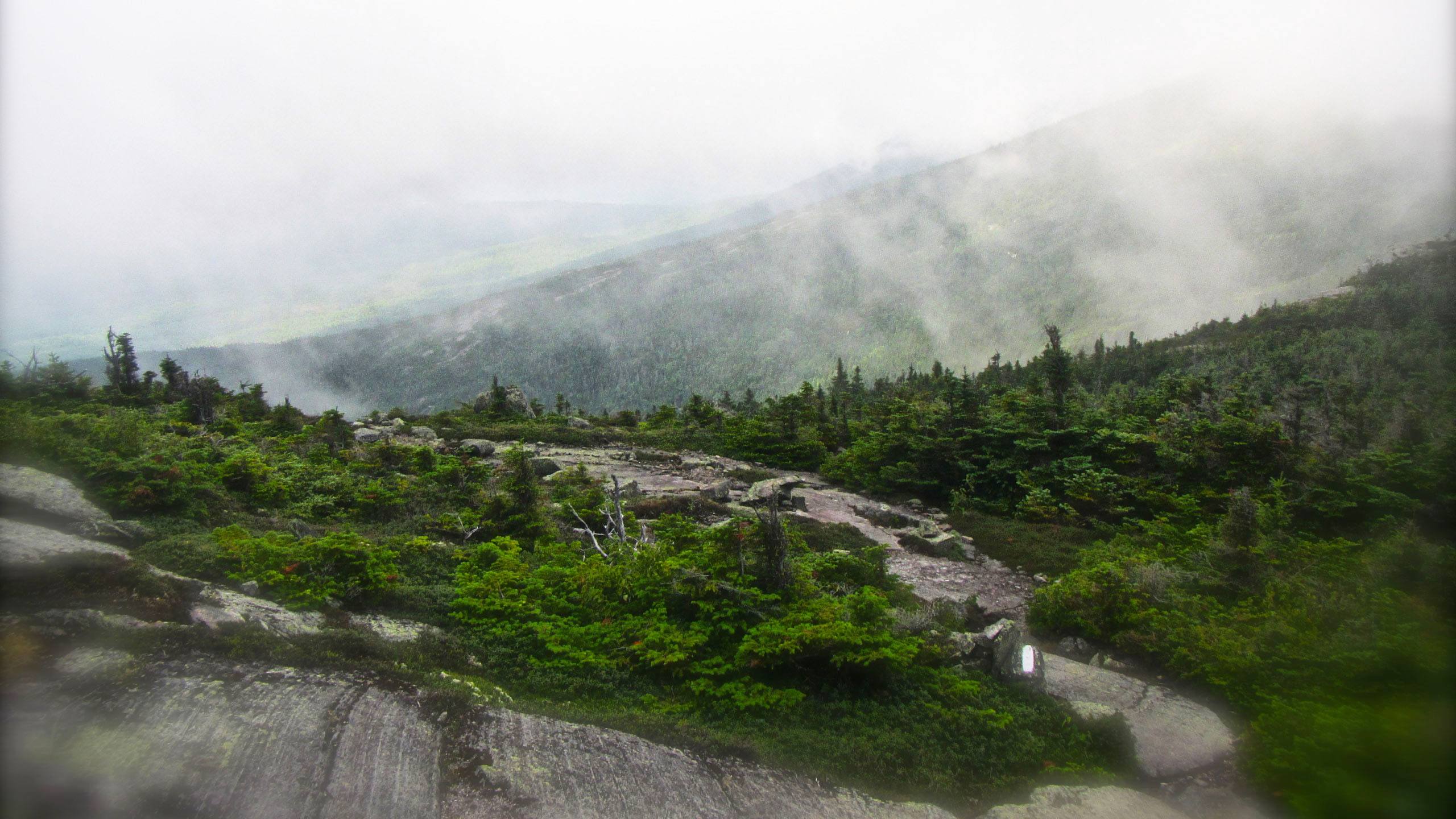 Wild East Time Travel | Appalachian Trail Conservancy