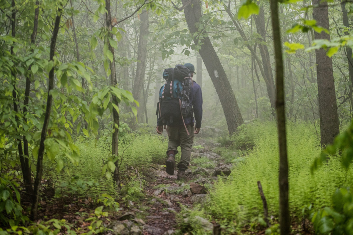 New Jersey Appalachian Trail Conservancy 7099