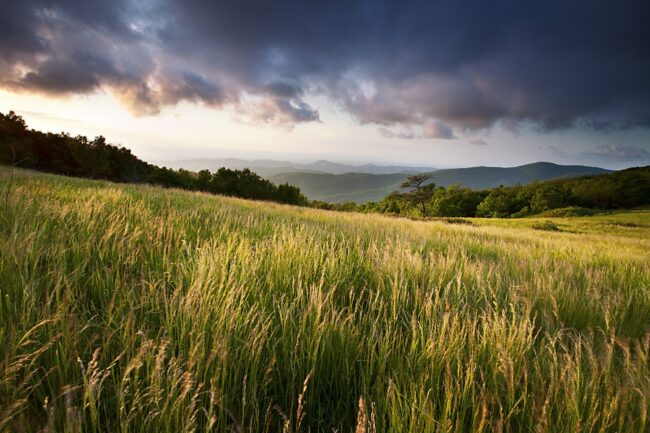 Conservation - Appalachian Trail Conservancy