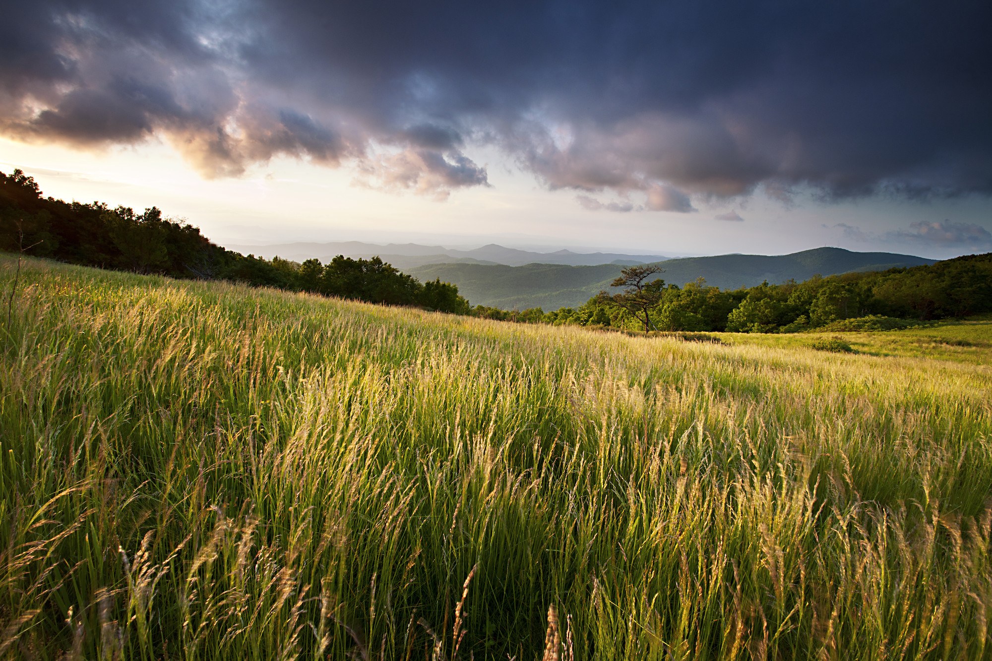 Virginia | Appalachian Trail Conservancy