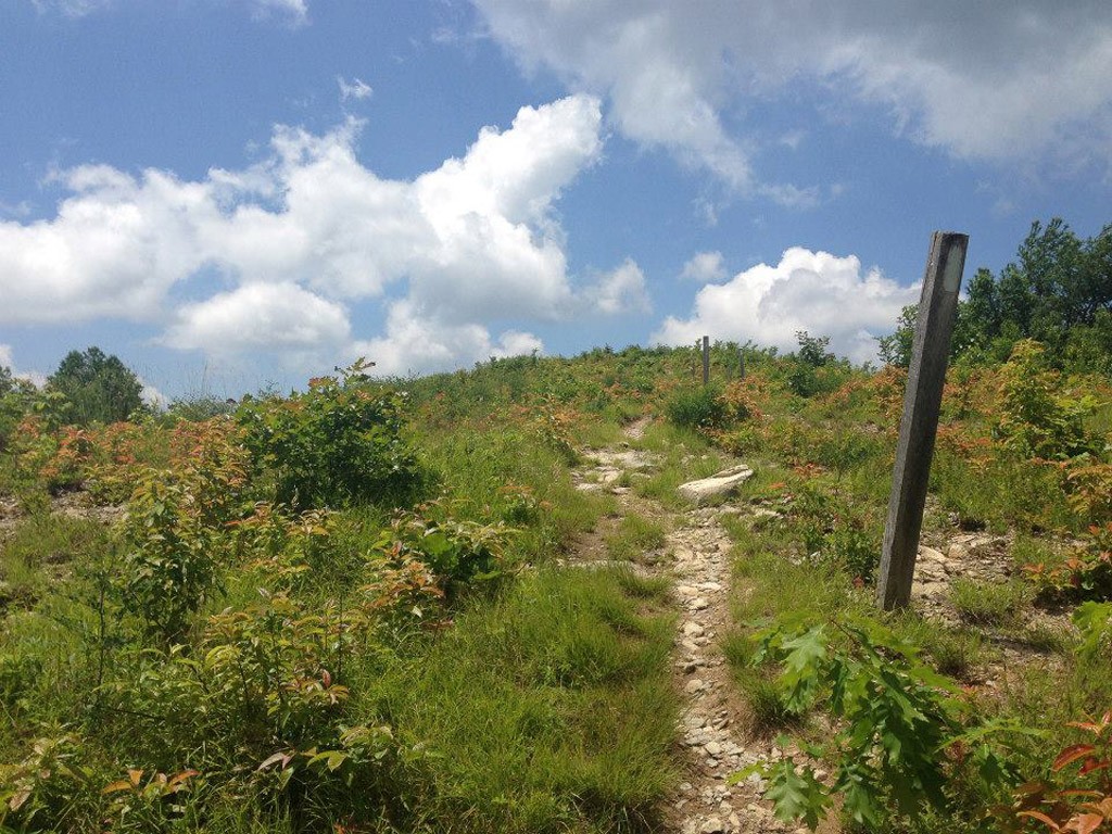 snowbirdmountainnc-by-annebaker snowbirdmountainnc-by-annebaker
