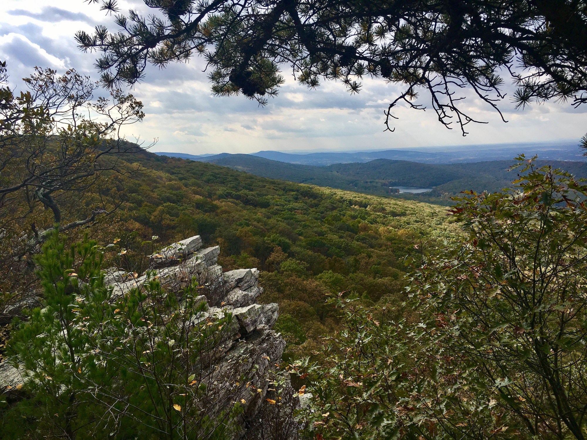 Maryland  Appalachian Trail Conservancy