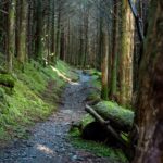 The Appalachian Trail