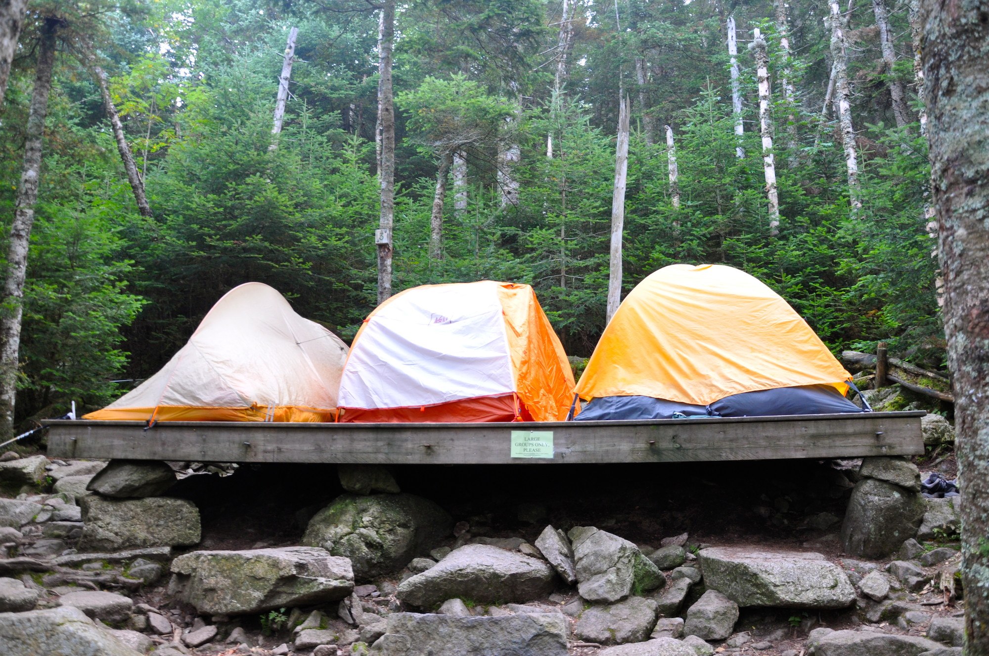 Tents at an Appalachian Trail campsite.