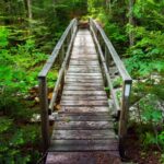An A.T. bridge crossing a water source in Vermont.
