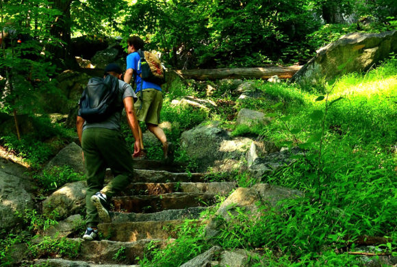 bearmountain_appalachiantrail-trailsforpeoplehike2-creditchristianmena-2018_web