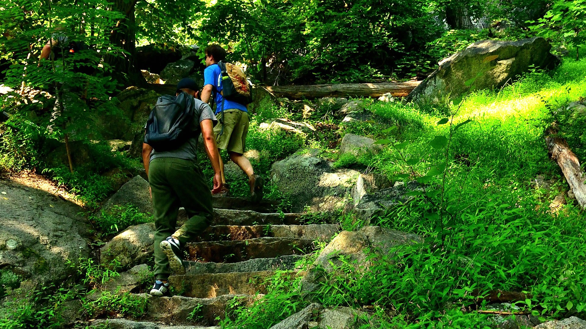 Hikers traverse the stone steps installed on the A.T. at Bear Mountain, New York.