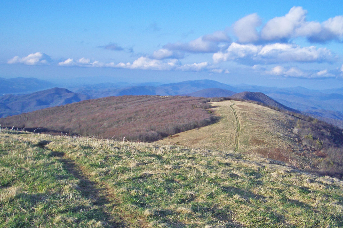 News | Appalachian Trail Conservancy