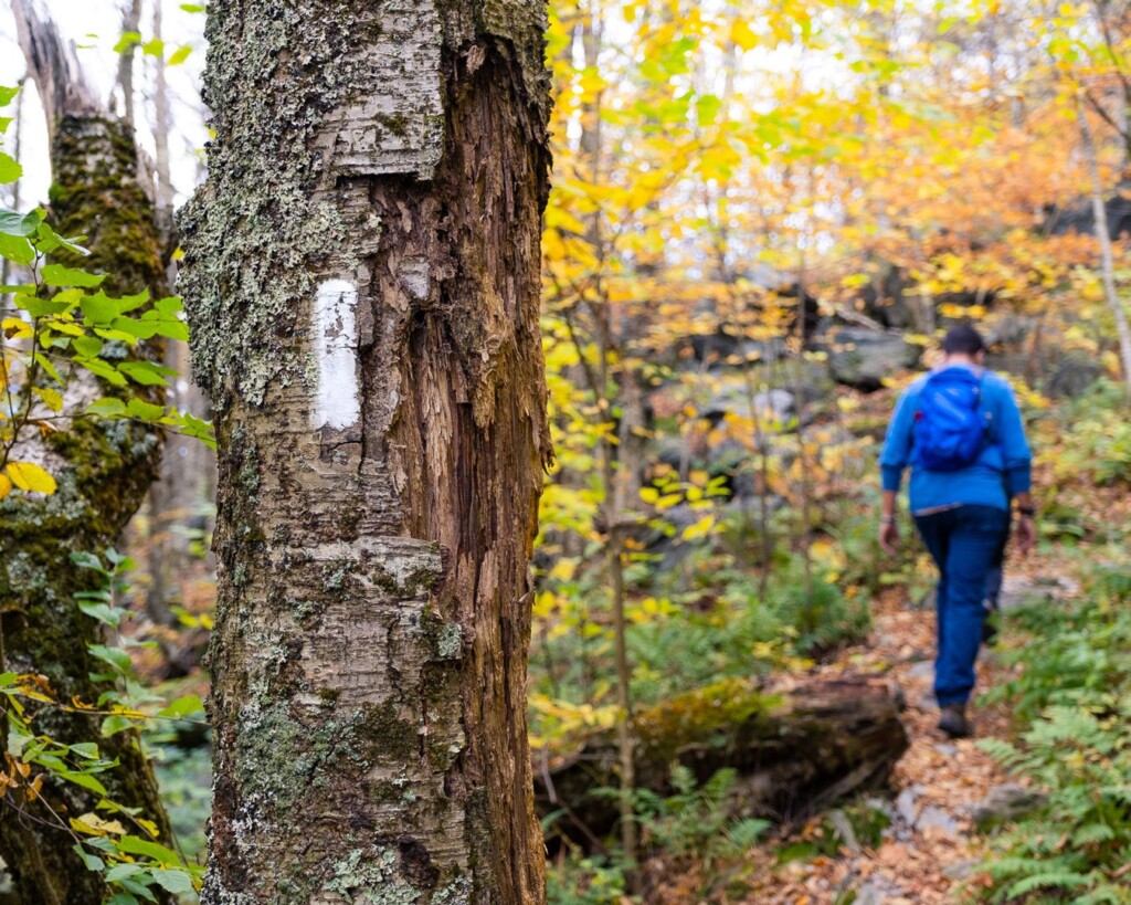 Hiking Mt. Everett. Photo courtesy of Michael "Ishkabible" Nieves.