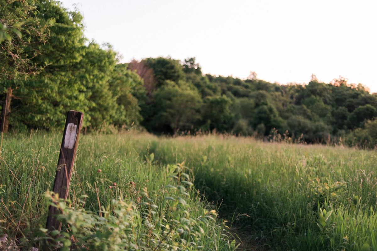 wacphotography_mvpproject_01772 wacphotography_mvpproject_01772