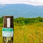 Appalachian National Scenic Trail Cooperative Management Sign on an A.T. White Blaze Post