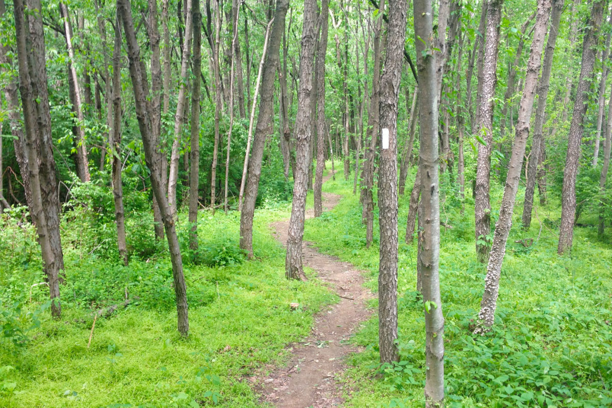 pa-trail pa-trail
