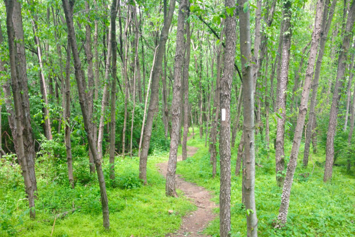 pa-trail-2 pa-trail-2