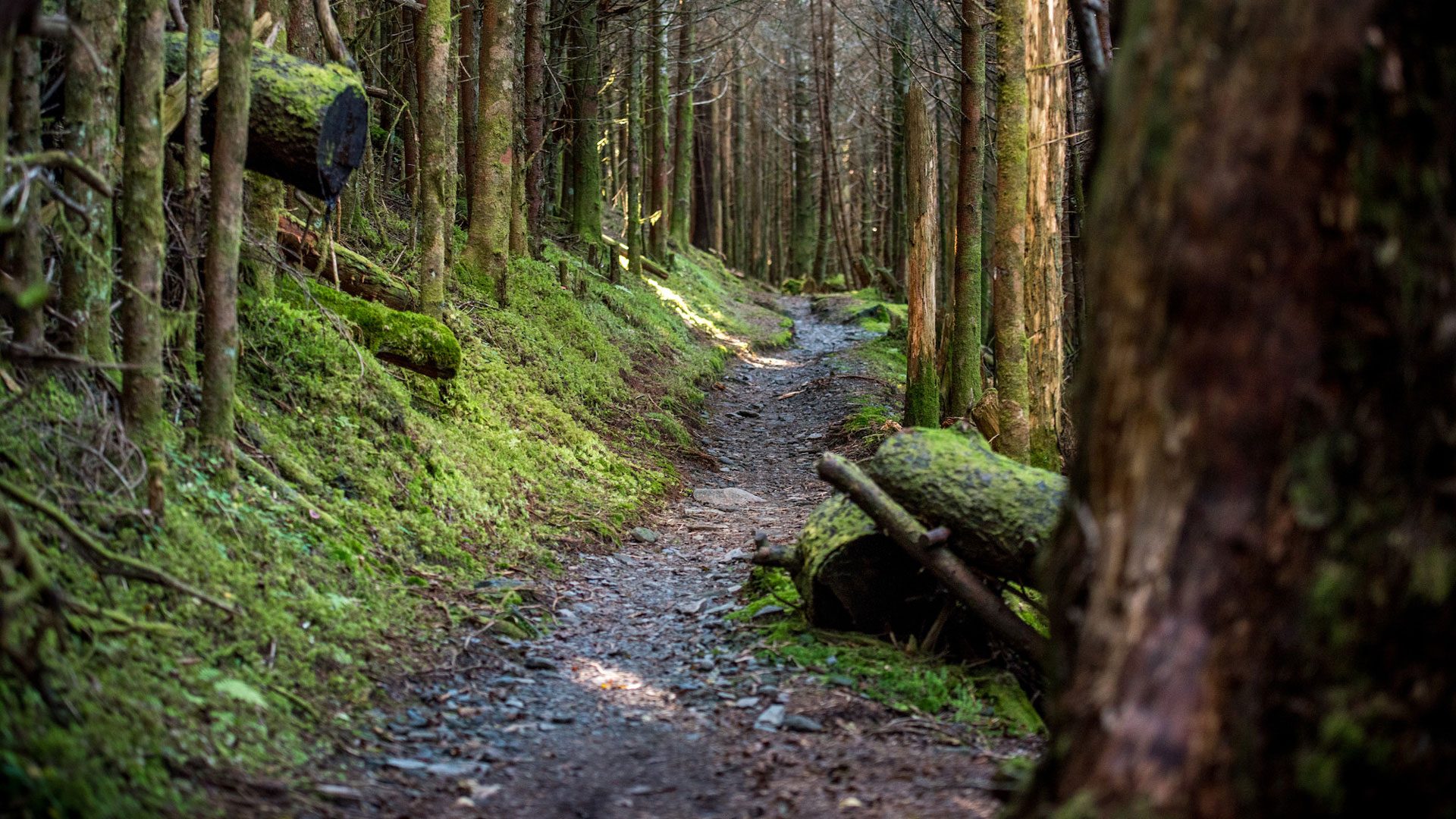 appalachiantrail.org