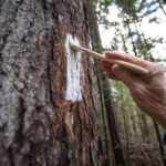 Photo by Horizonline Pictures