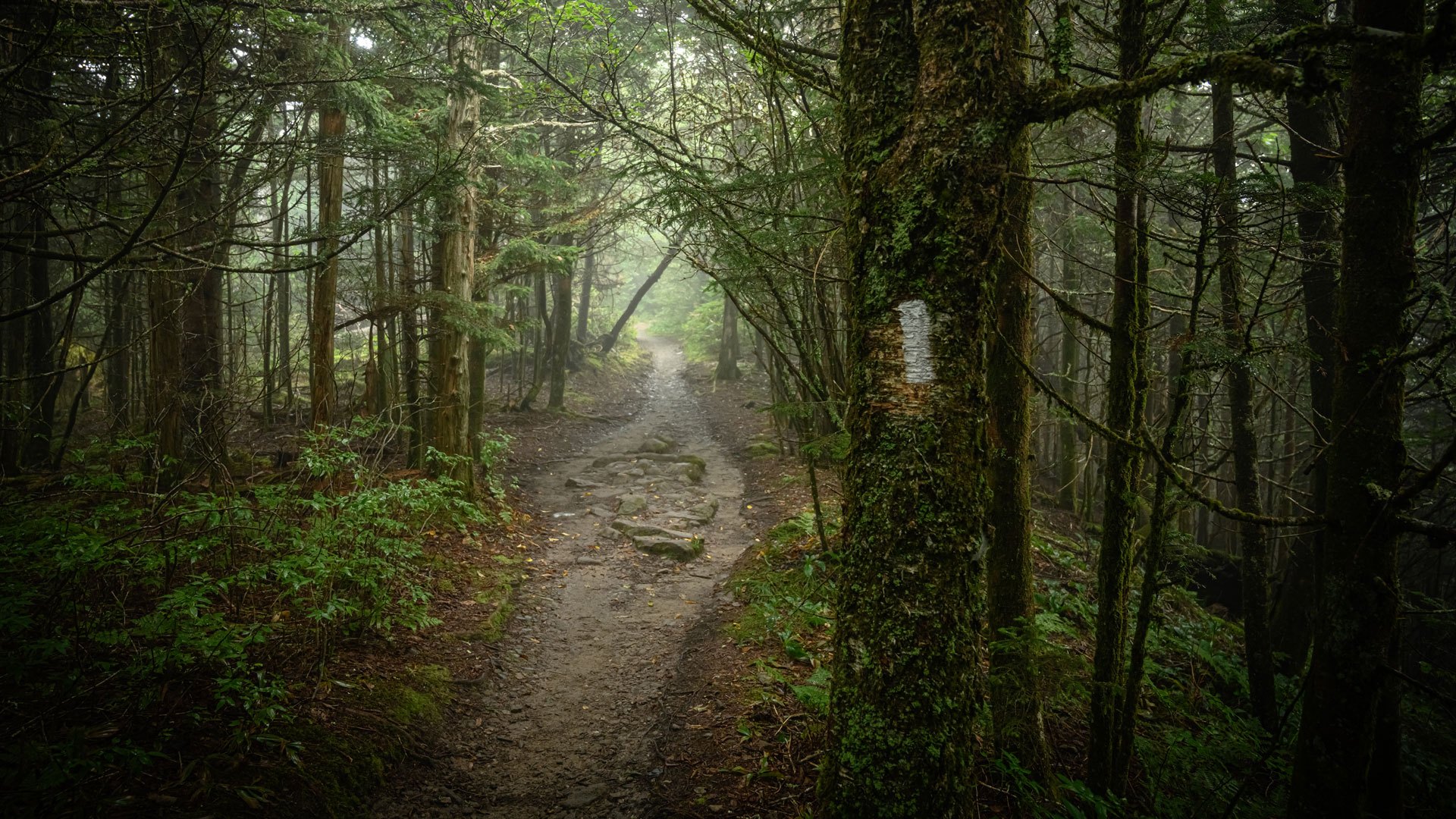 Appalachian Trail Conservancy