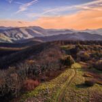 Photo by Josh Tullock