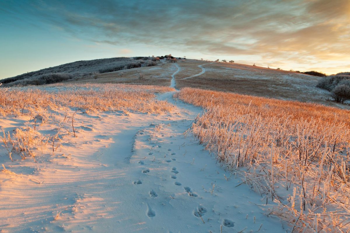 path-ahead-header-no-text_web-2 path-ahead-header-no-text_web-2