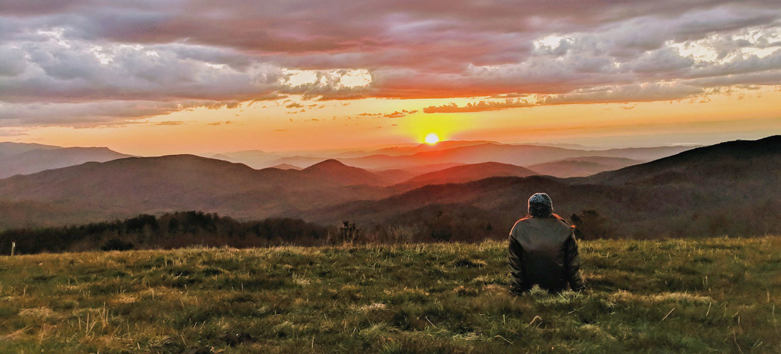 Max Patch View