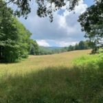 Meadow at Settlers Museum