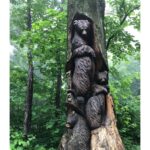 Bear's Den, while not technically in Round Hill, is our closest A.T. Trail Center.