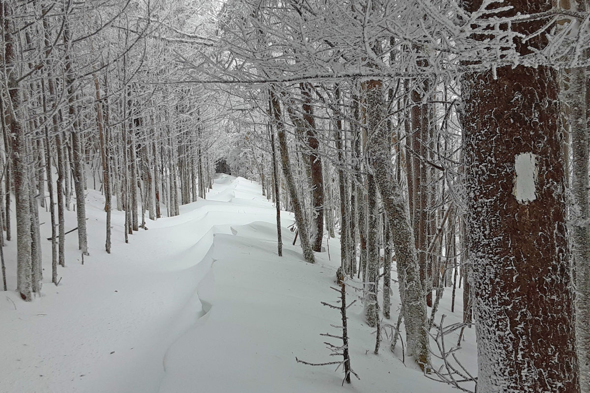 snowpath2 snowpath2