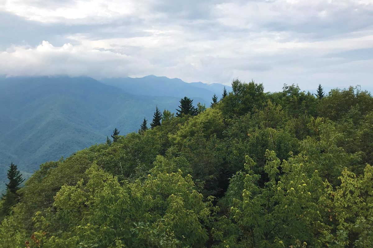 Official Blog | Appalachian Trail Conservancy