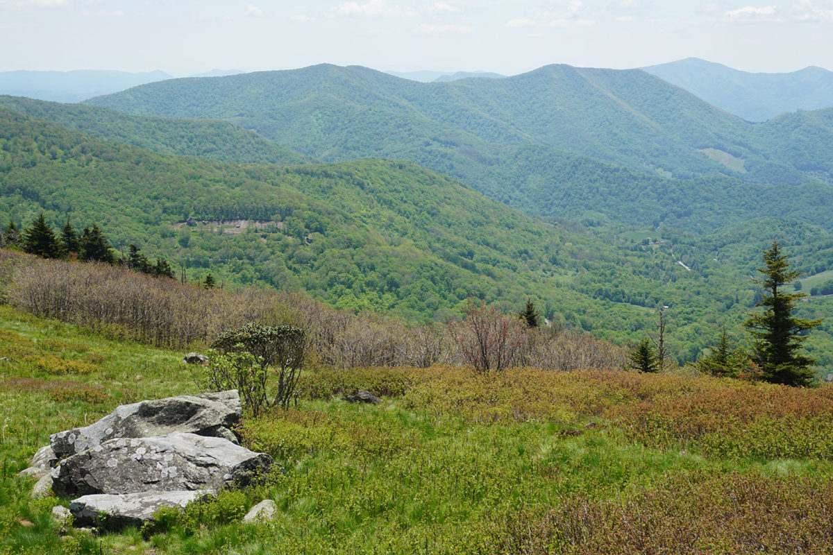 view-from-round-bald-on-at-credit-sahc-travis-bordley view-from-round-bald-on-at-credit-sahc-travis-bordley