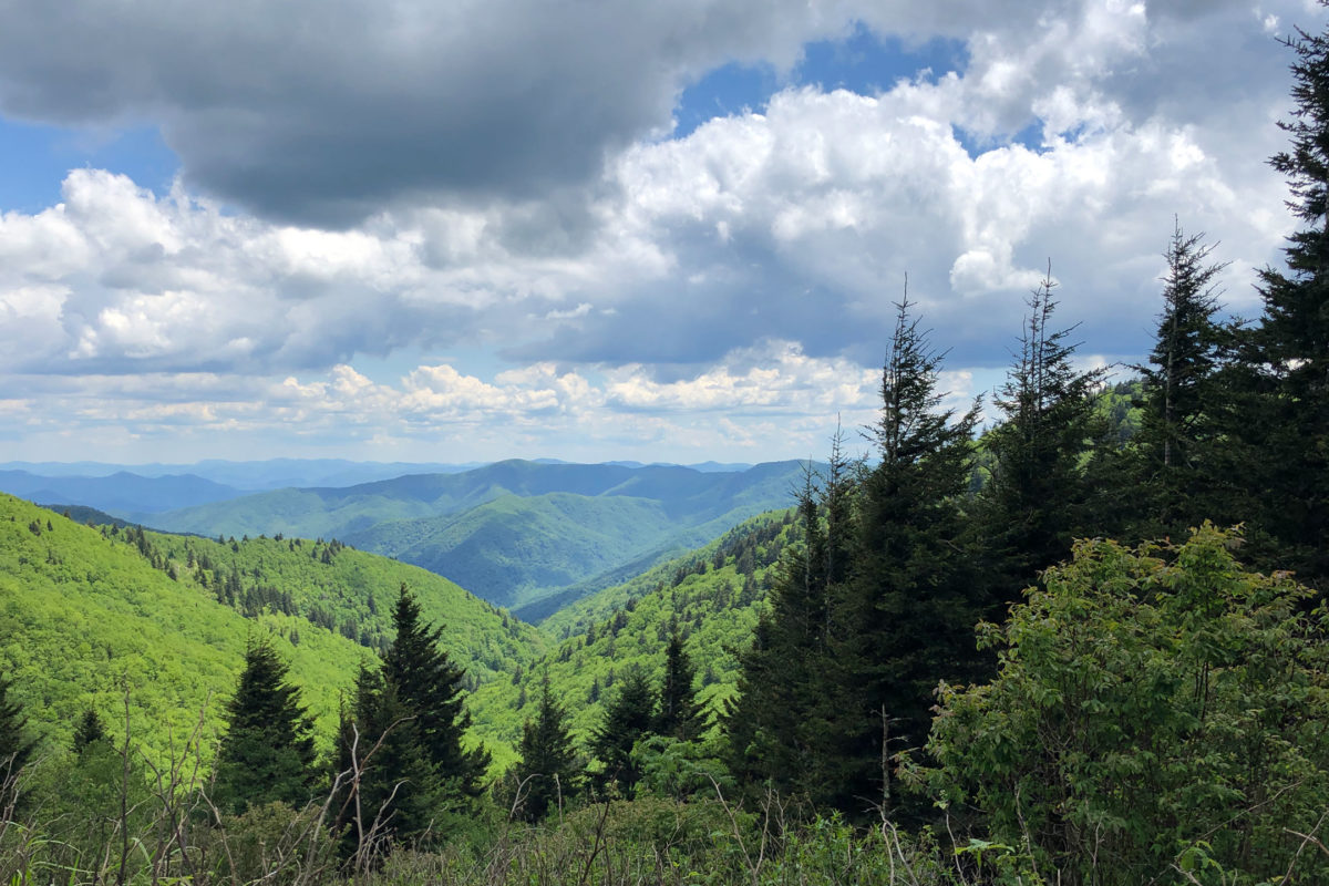 Official Blog | Appalachian Trail Conservancy