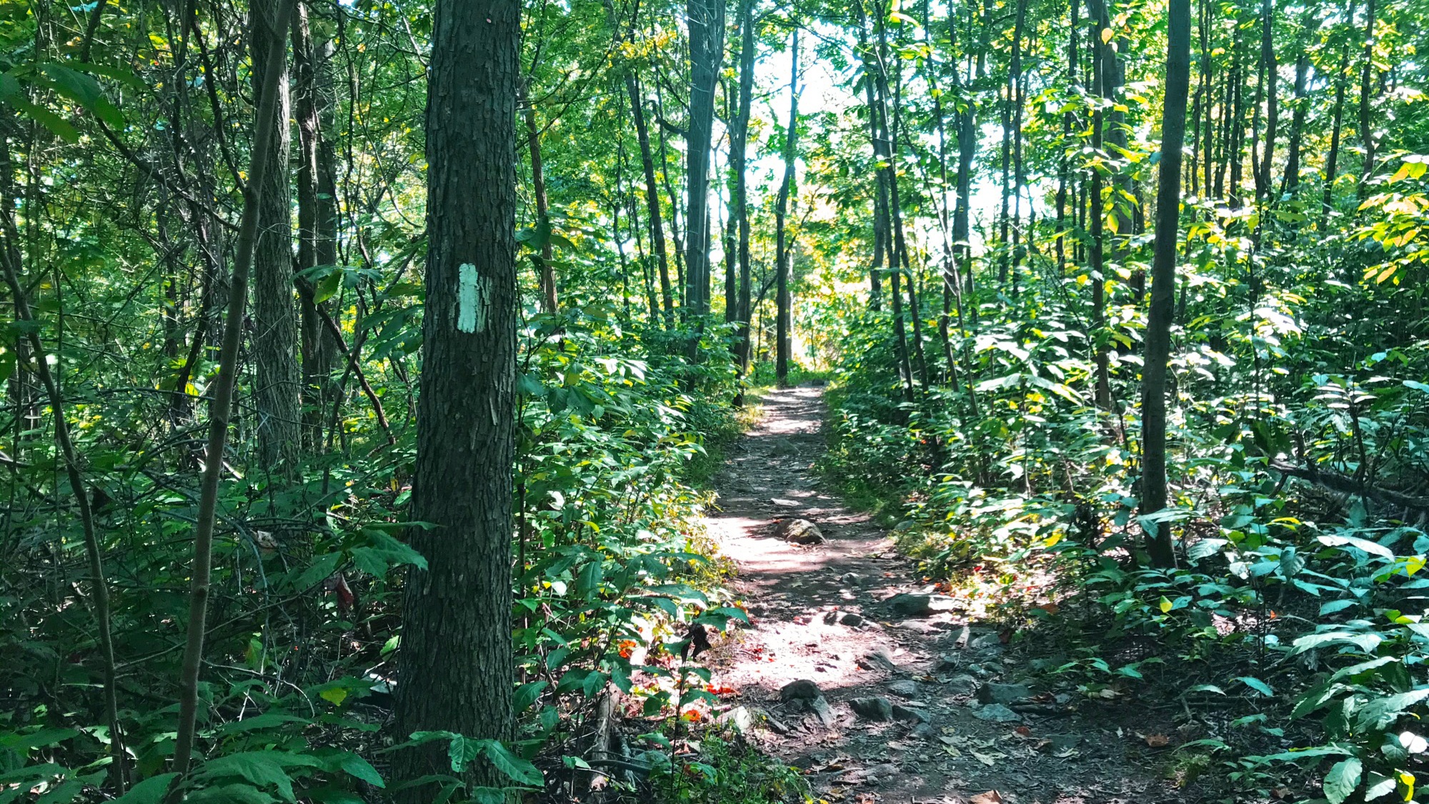 What Draws Us to the Trail - Appalachian Trail Conservancy