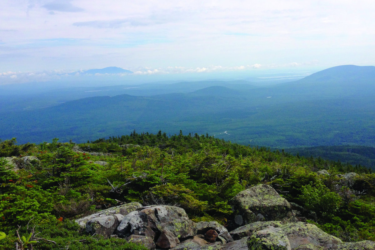 Science and Stewardship Symposium 2021 | Appalachian Trail Conservancy