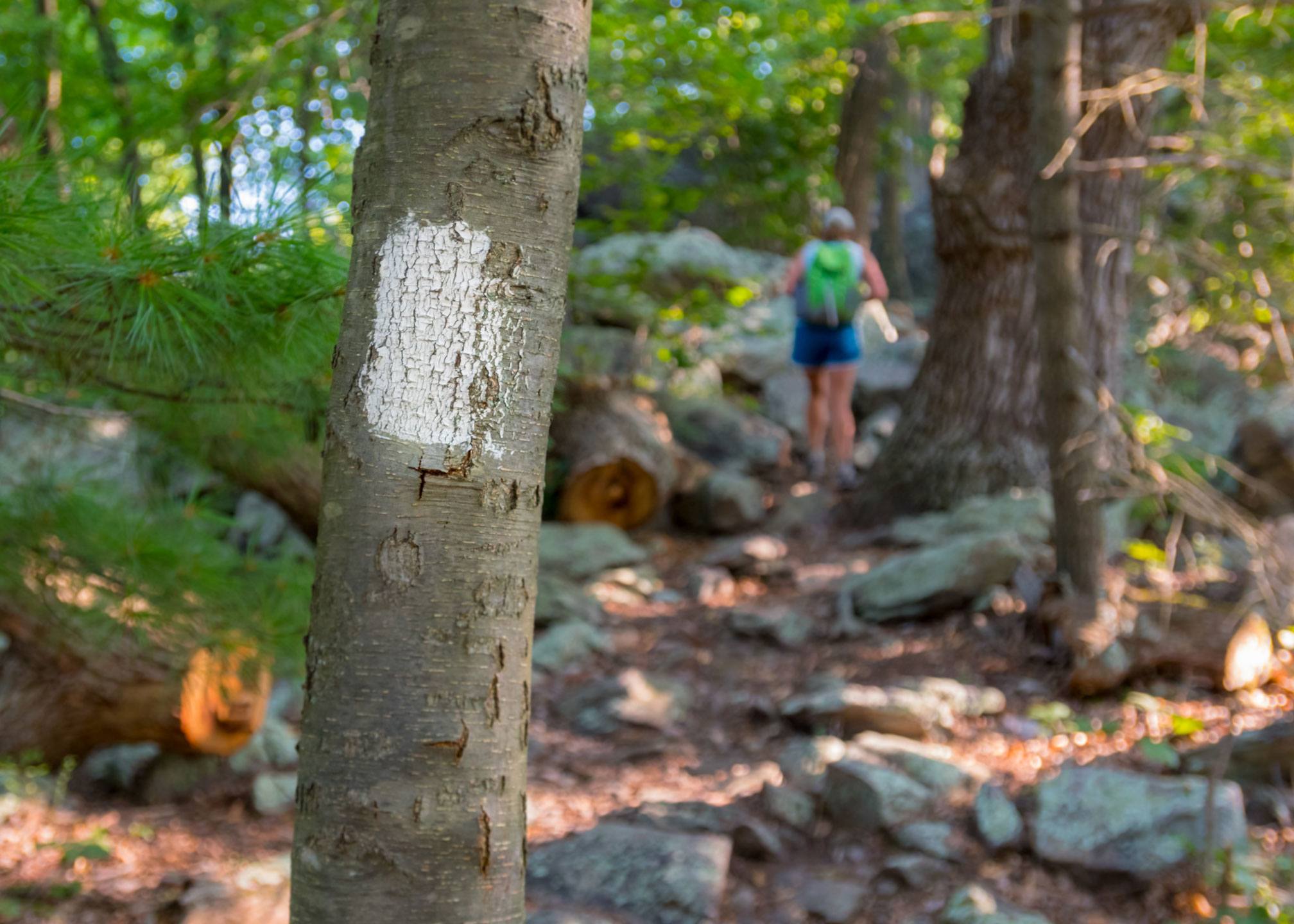 A.T. White Blaze with hiker in the background.