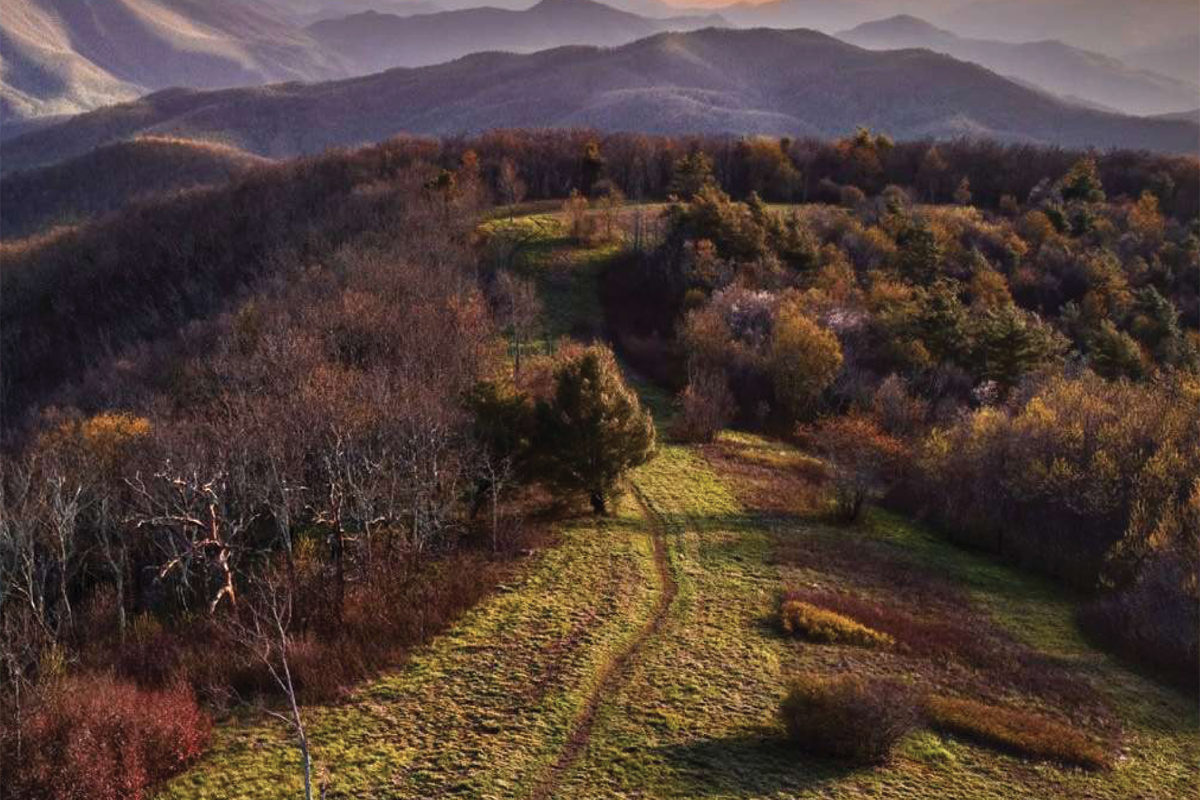 horizon-last-image horizon-last-image