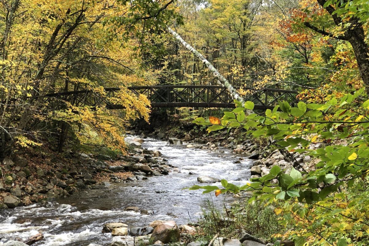 mcarthur-footbridge_fall_christopherwright mcarthur-footbridge_fall_christopherwright
