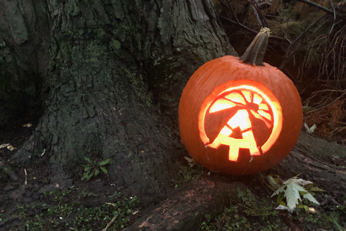 pumpkin-right pumpkin-right