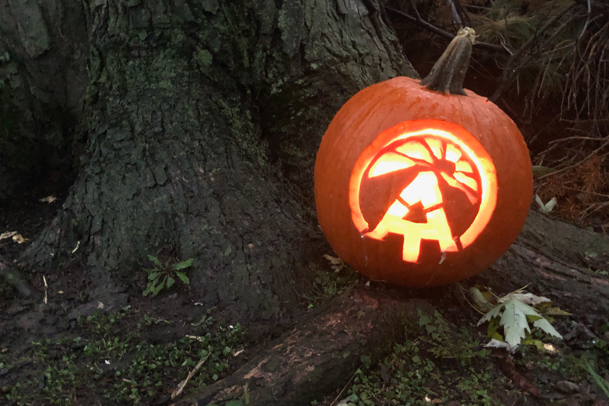 pumpkin-right2 pumpkin-right2