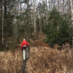 ATNearCongdonShelter_SCassano