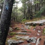 BaldMtTrail_East_Steps_Cassano