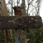 BearWallow_OldSign_SCassano