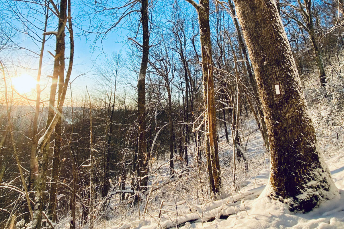 snowy-sunrise-hike-near-hiawassee-georgia-ryan-hopkins snowy-sunrise-hike-near-hiawassee-georgia-ryan-hopkins