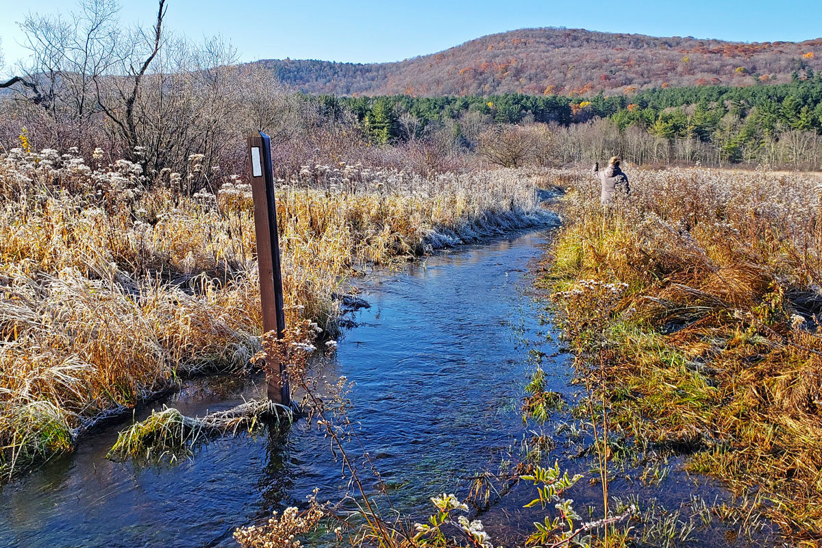 tyringham-ma-footpath-flooding-11-5-2021-1x1-ig tyringham-ma-footpath-flooding-11-5-2021-1x1-ig