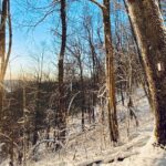 Looking Back, Looking Forward